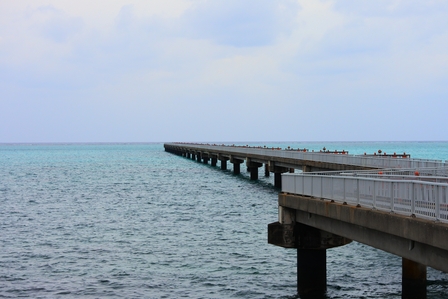 �{�Ó��P�V