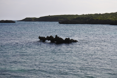 �{�Ó��S�U