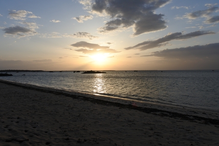 �{�Ó��T�U