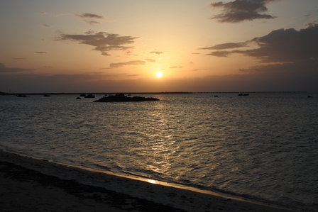 �{�Ó��T�V