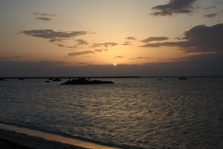 �{�Ó��T�W