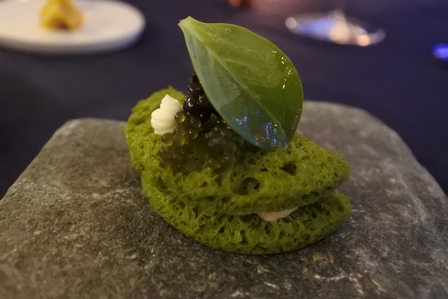 �{�Ó��T�X