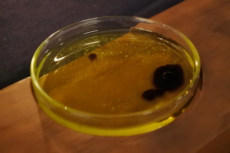 �{�Ó��U�W