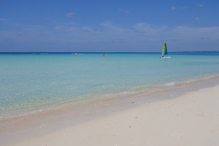 �{�Ó��Q�V