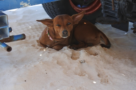 �{�Ó��Q�W