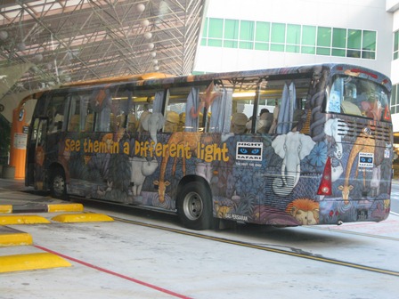 �V���K�|�[���R