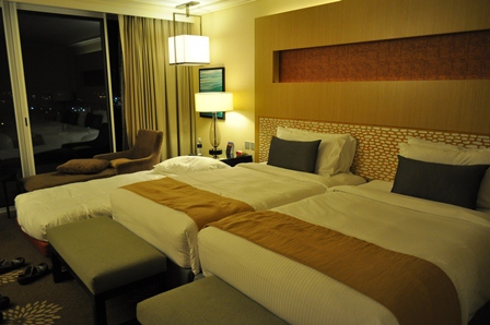 �V���K�|�[���U