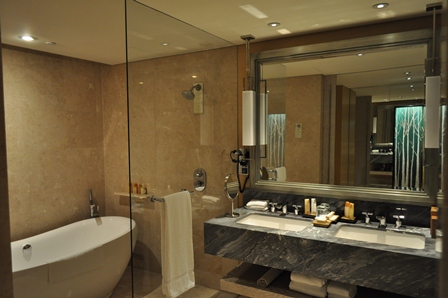 �V���K�|�[���V