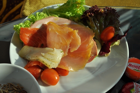 �V���K�|�[���P�O