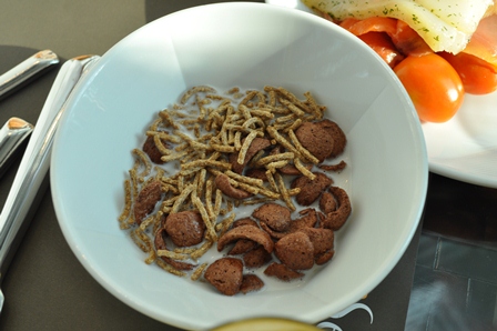 �V���K�|�[���P�P