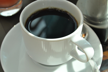 �V���K�|�[���P�S