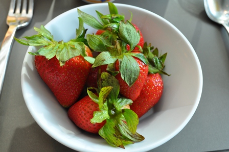 �V���K�|�[���P�T