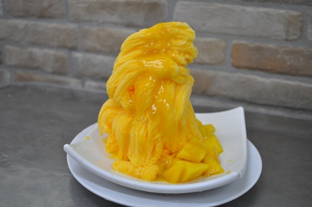 �V���K�|�[���R�P