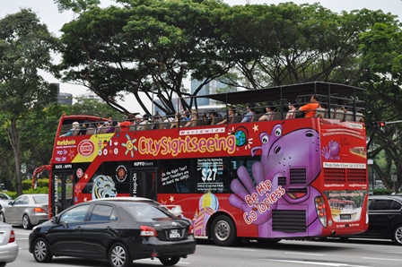 �V���K�|�[���R�U