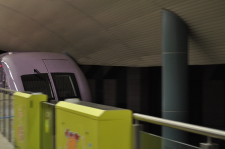 �V���K�|�[���R�X