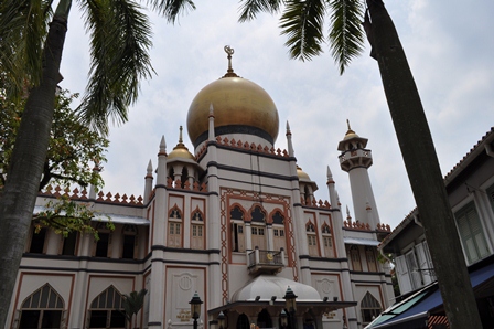 �V���K�|�[���P�T