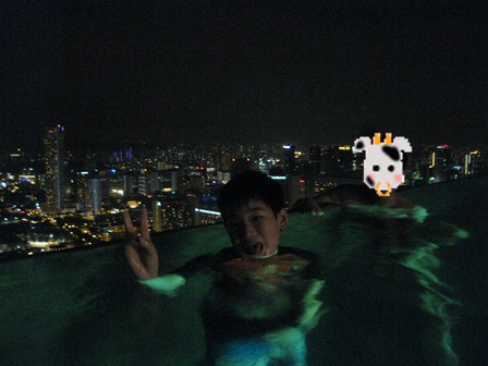 �V���K�|�[���R�R