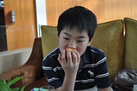 �V���K�|�[���T