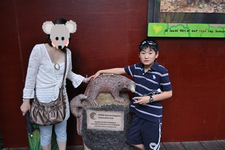 �V���K�|�[���W