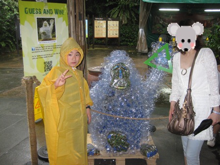 �V���K�|�[���X