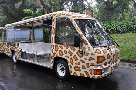 �V���K�|�[���P�S