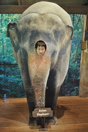 �V���K�|�[���P�V