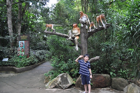 �V���K�|�[���R�P