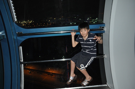 �V���K�|�[���T�P