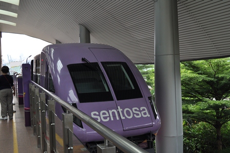 �V���K�|�[���P�O