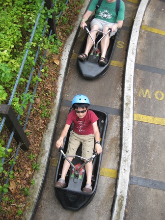 �V���K�|�[���P�R