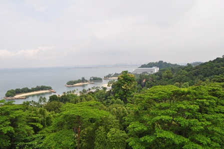 �V���K�|�[���P�S