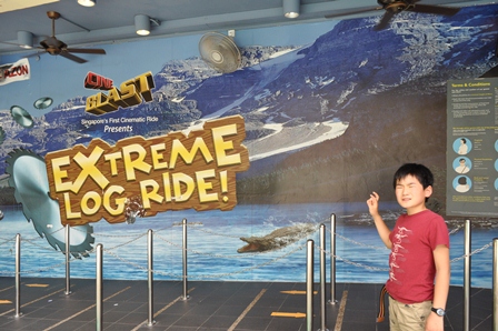 �V���K�|�[���P�T