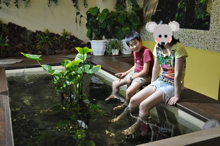 �V���K�|�[���Q�S