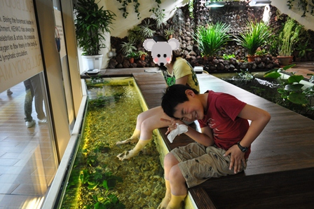 �V���K�|�[���Q�T