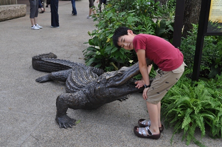 �V���K�|�[���Q�V