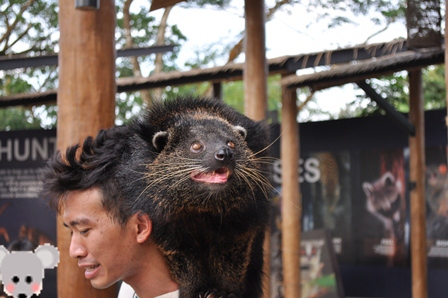 �V���K�|�[���Q�W