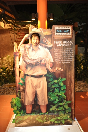 �V���K�|�[���R�T