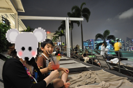 �V���K�|�[���Q�V