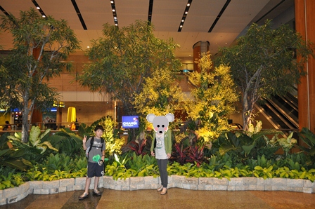 �V���K�|�[���R