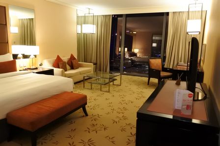 �V���K�|�[���V