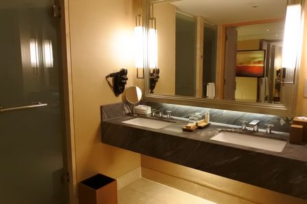 �V���K�|�[���P�O