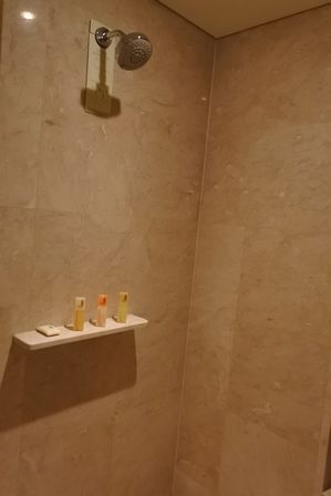 �V���K�|�[���P�P