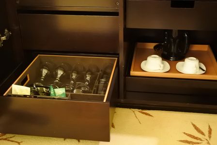 �V���K�|�[���P�R