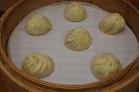 �V���K�|�[���T�R