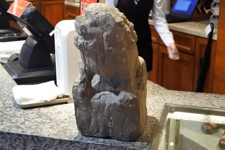 �V���K�|�[���T�T