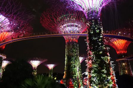 �V���K�|�[���T�X