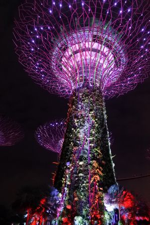 �V���K�|�[���U�P