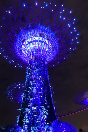 �V���K�|�[���U�Q