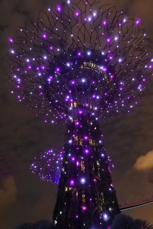 �V���K�|�[���U�R