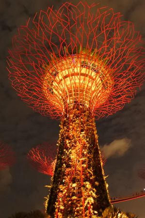 �V���K�|�[���U�S